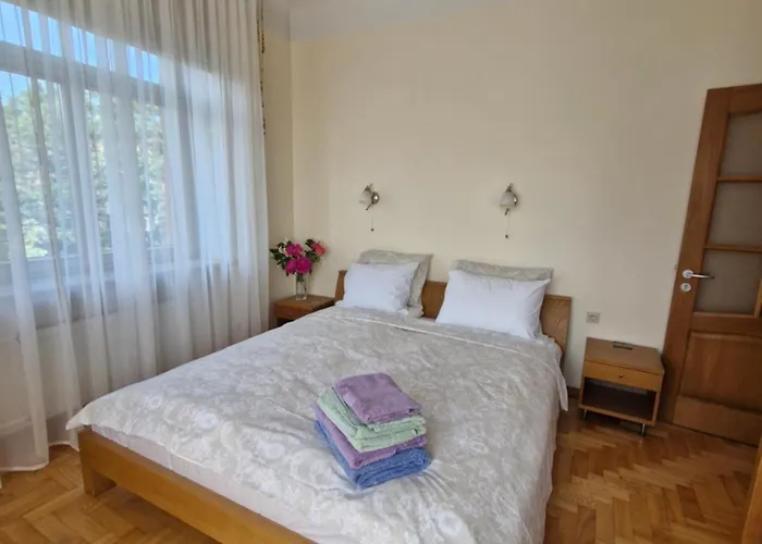 公寓 Old Next To St Peters Church 里加